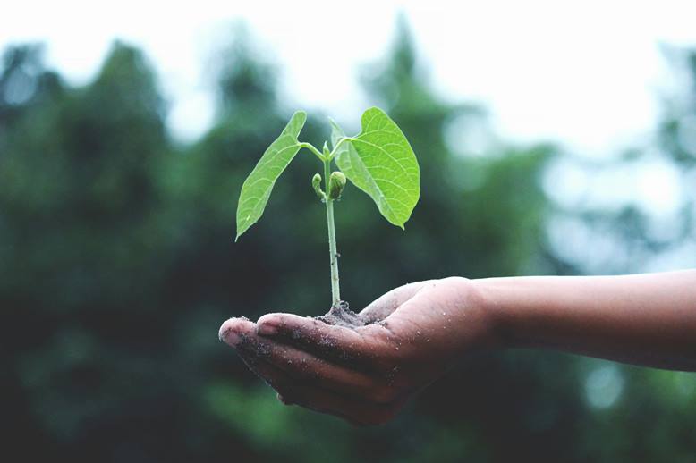 Sustainabilty