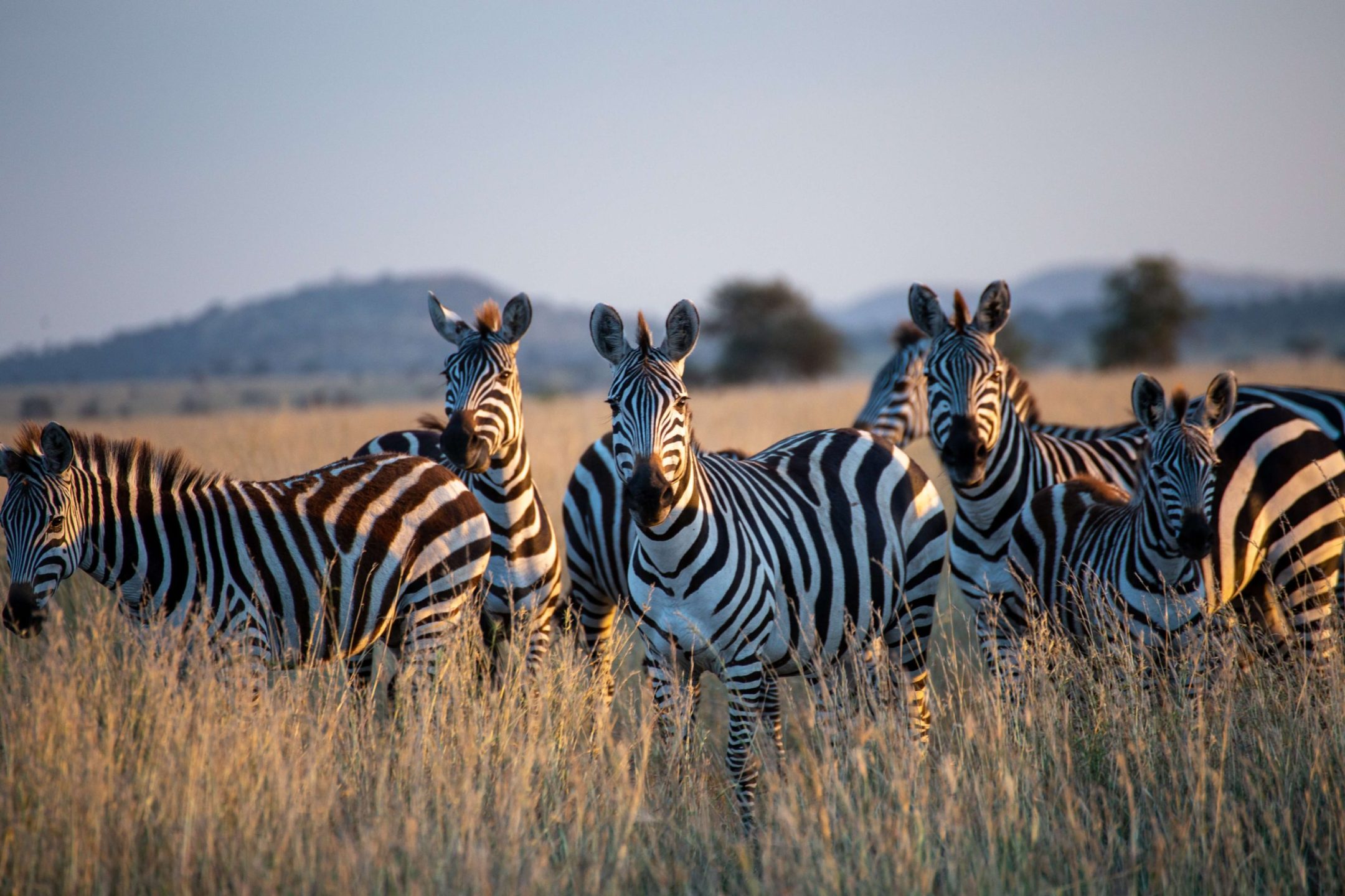 Namibia