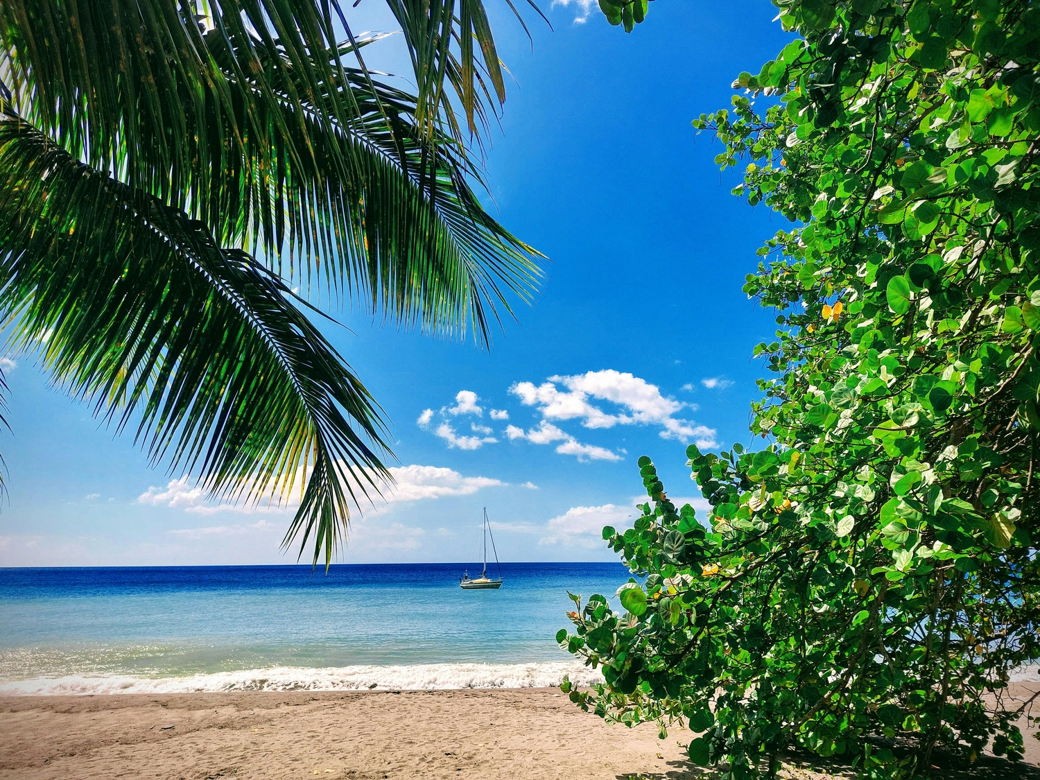 Martinique